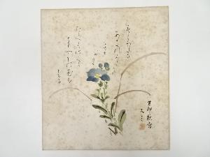 湯川スミ筆　花図　肉筆色紙